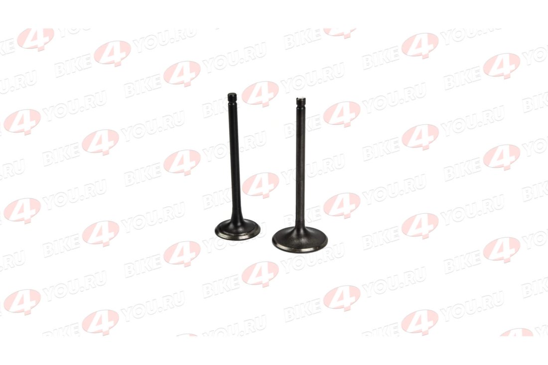 Клапаны ГРМ 165FMM CBB250 X-TECH